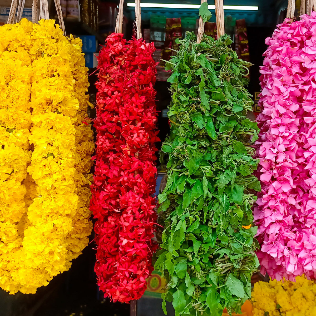 Four thick garlands side by side: yellow chrysanthemum, red ixora, green tulasi and pink