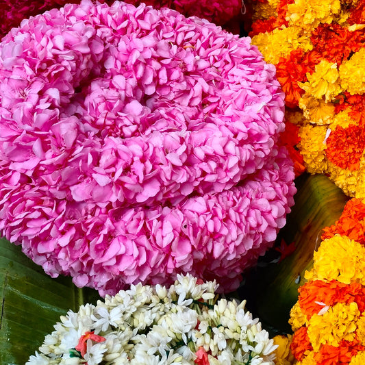 A thick, round coiled garland of pink roses