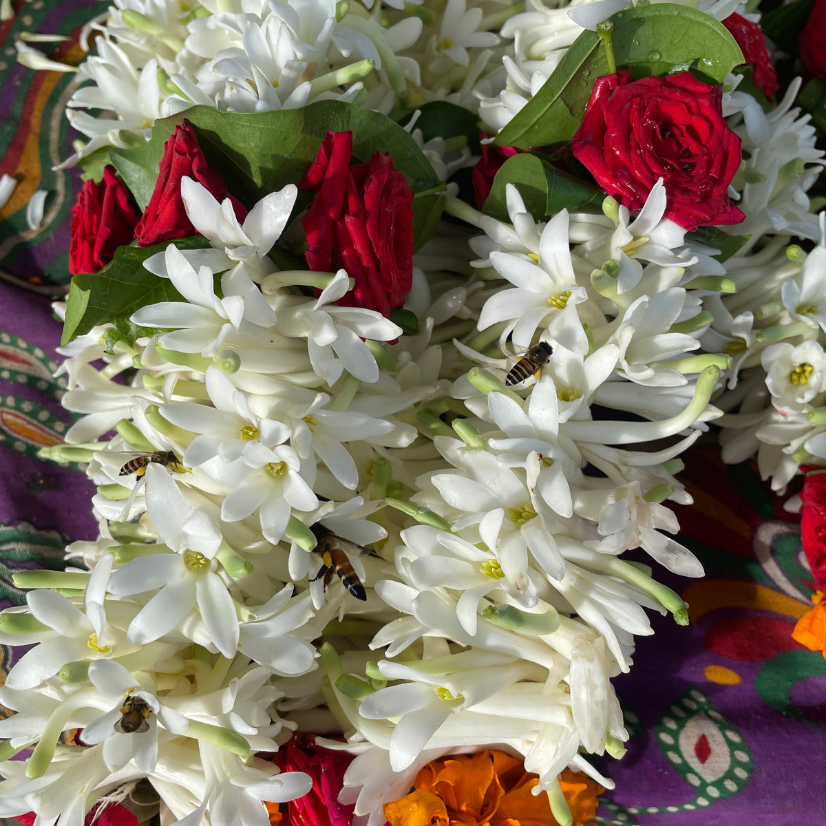 A mixed pooja garland of tuberose, red roses and marigold with bands of leaves