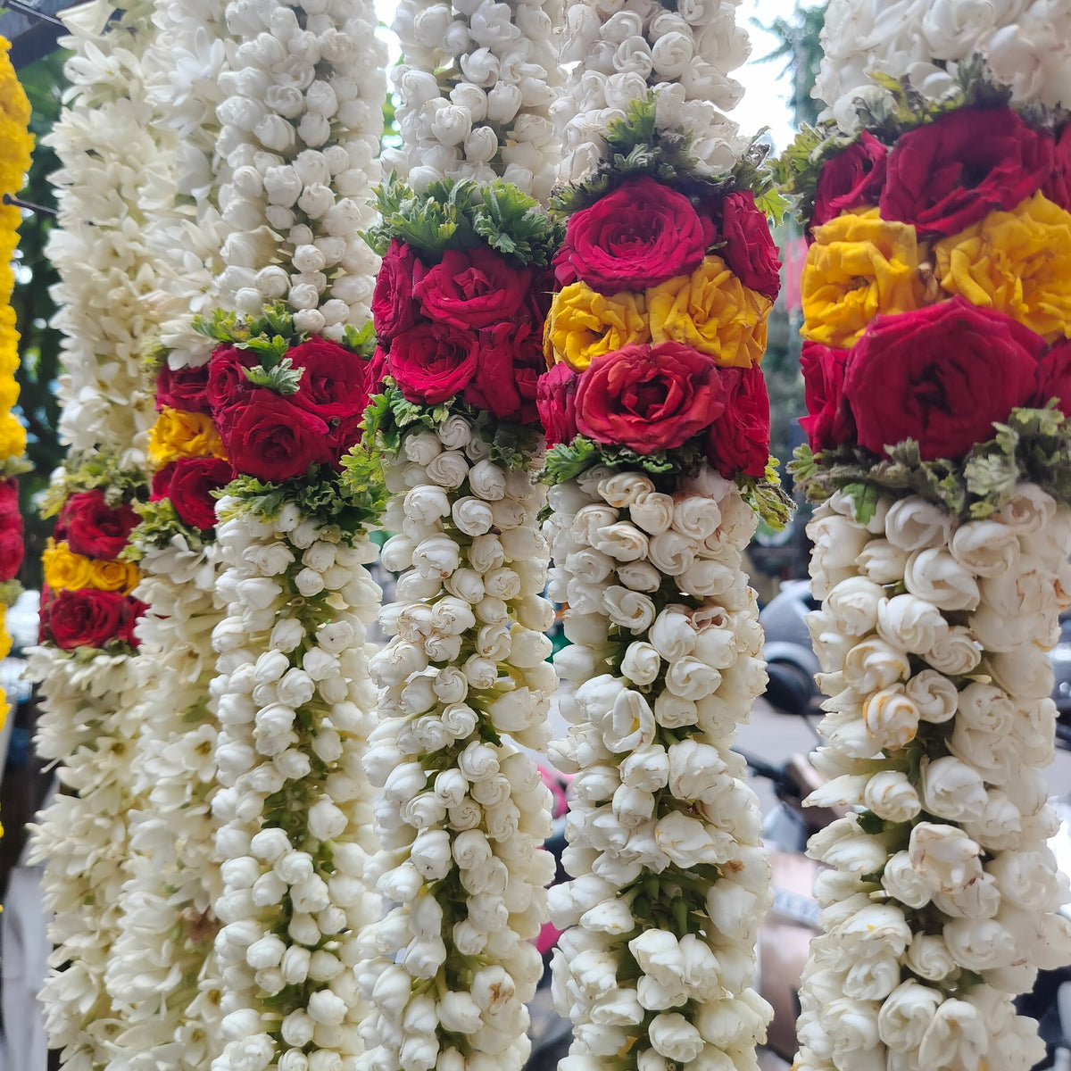Dense double garlands of jasmine buds with red and yellow rose bands