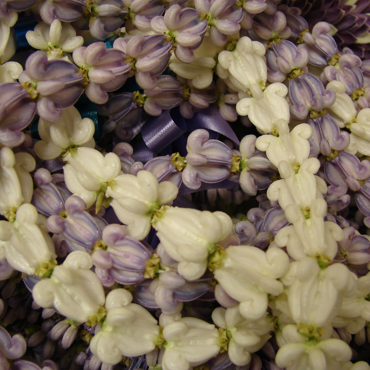 Garlands strung from lilac and white crown flowers (erukkam)