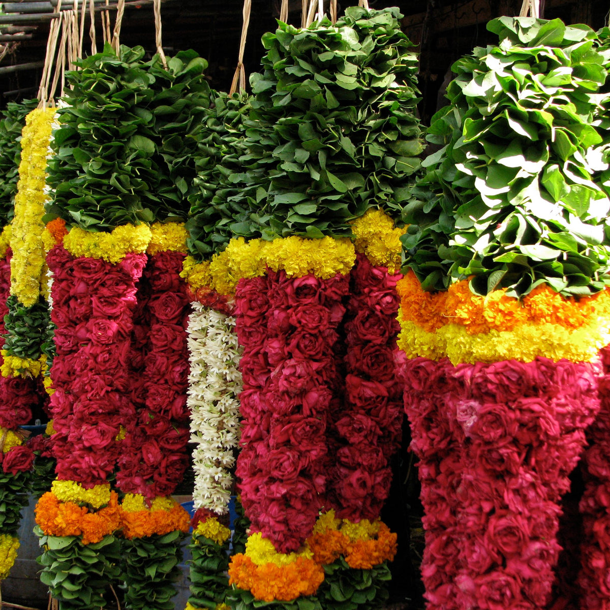 Heavy, long garlands of red roses with betel leaves and marigold bands at a flower stall