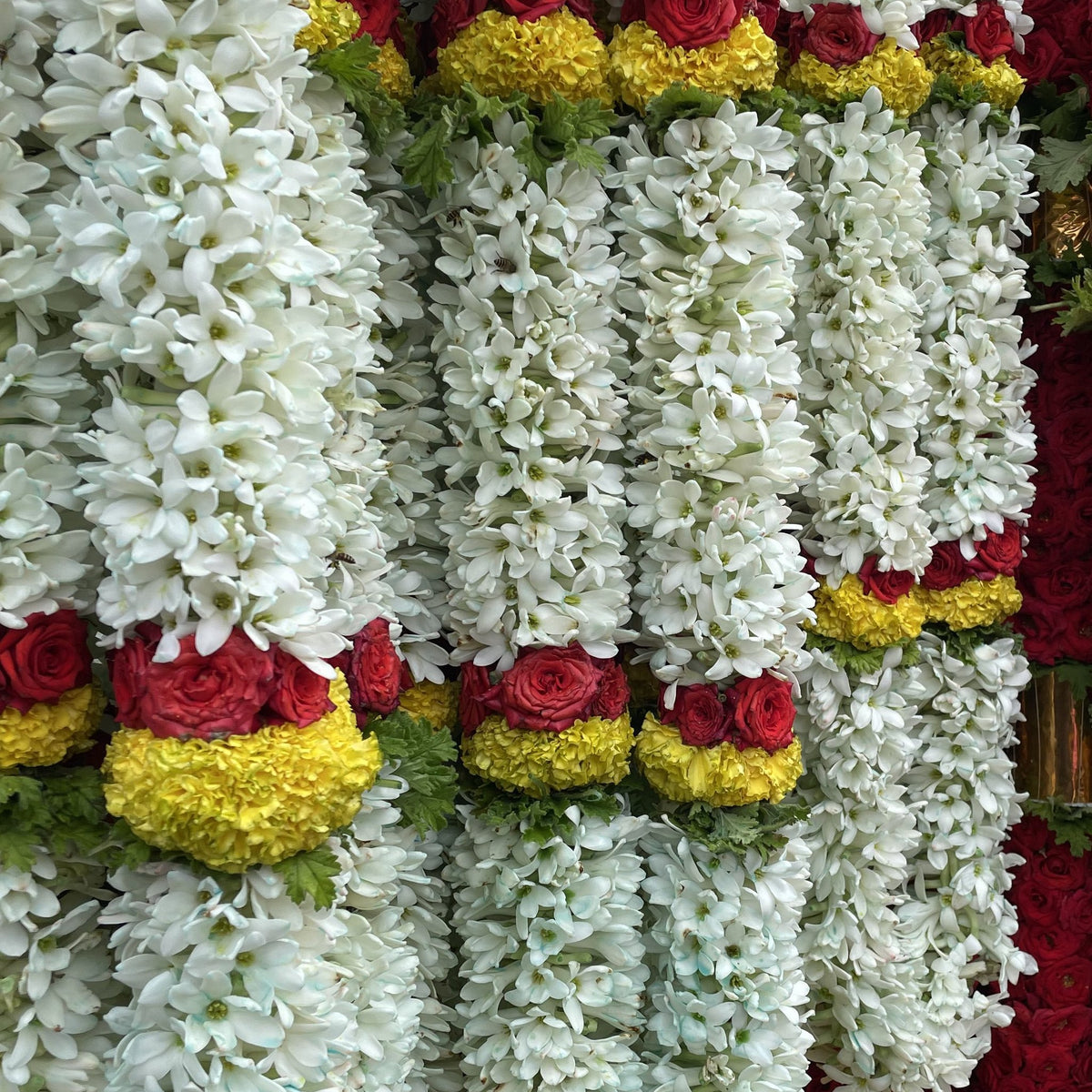 Tuberose garlands with red rose and marigold bands