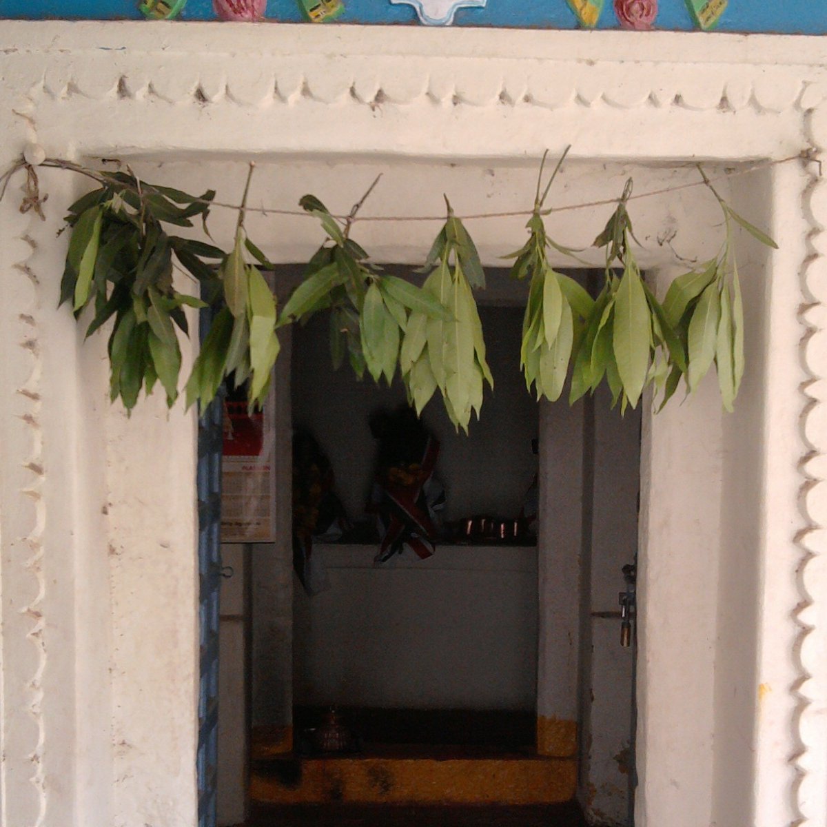 Bunches of mango leaves tied on a cord across a doorway