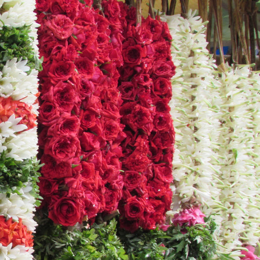 A thick red rose garland hanging between white tuberose garlands at a flower stall