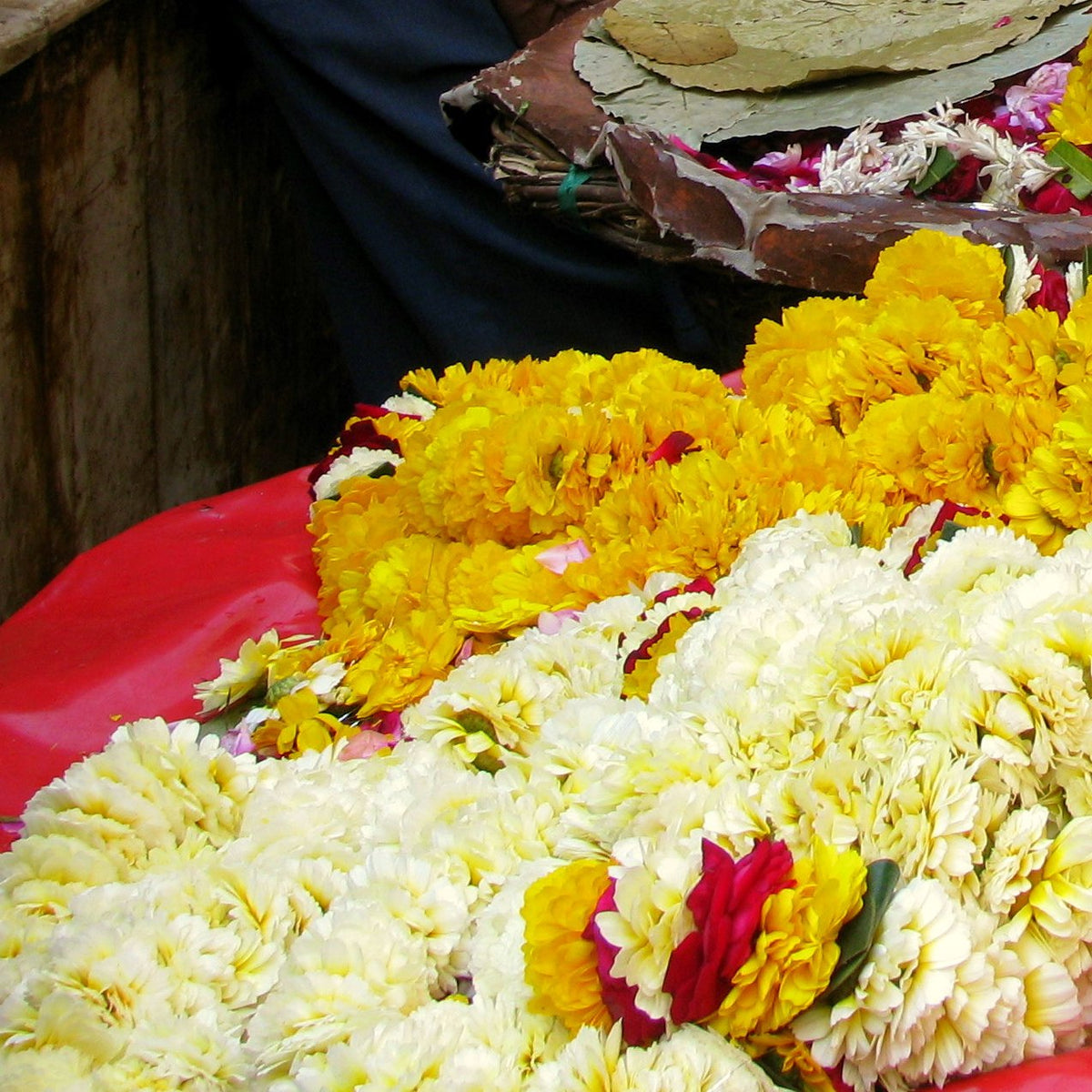 Round white and yellow flower garlands with small rose rosettes, piled at a temple flower stall