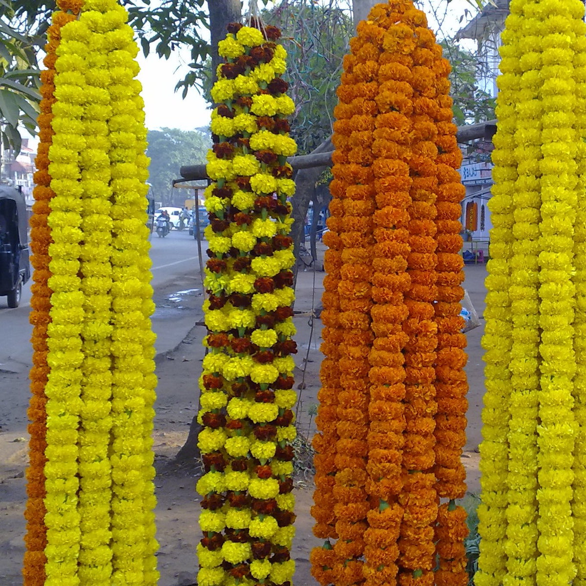 Thick multi-strand marigold garlands in yellow, orange and yellow with maroon, hanging at a roadside stall
