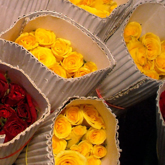 Yellow roses packed in corrugated paper rolls at a flower market